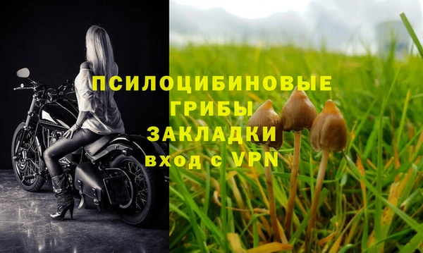 мет Вяземский