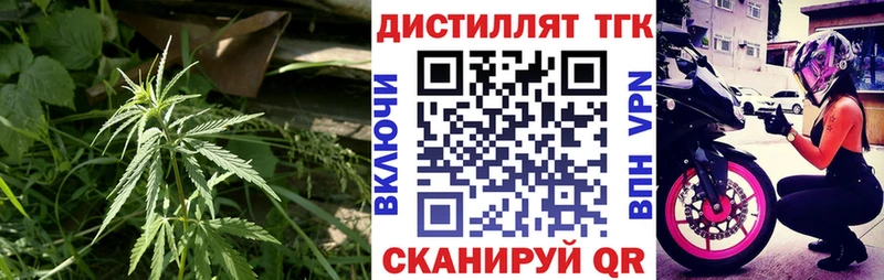 ТГК жижа  Купить где  Короча 